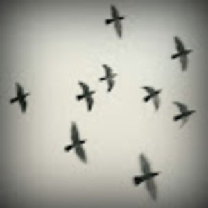 Meet your Posher, Lucas